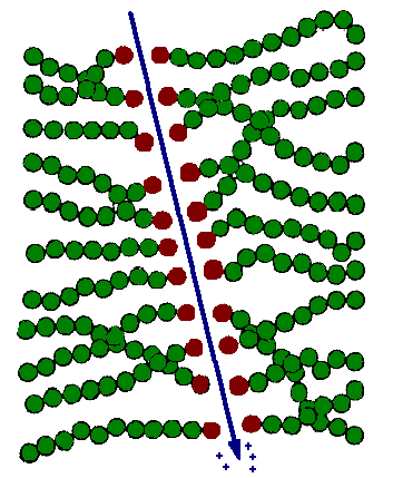 kaydedilebilirler. Bilinen polimerlerin hiç birisi β parçacıklarını algılamaz. CR-39 plastikleri (n,p) ve (n,α) reaksiyonu sonucu oluģan izlerin kaydedilmesi ile hızlı nötronları algılayabilir.
