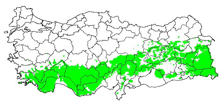 6094 sayılı kanunla; Gelecek vaat eden, yılda yılda 1620 kwh/m2.