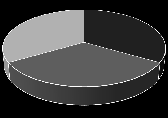 Grafik 12: X Sınıfı Eklerin Uyuma Bağlılık Oranı Uyuma Bağlı {-AyIm} 13% 13% 3 {+(I)l} {-(I)m} {+(I)n} {-Am} {-Im} {+sin} {-vuz} 13% 6% 1 6% 6%