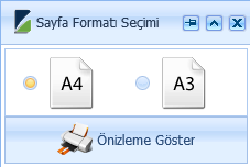 Yapılan analizin çıktısını almak için yazdır aracına tıklanır ve sayfa formatı seçim penceresinden