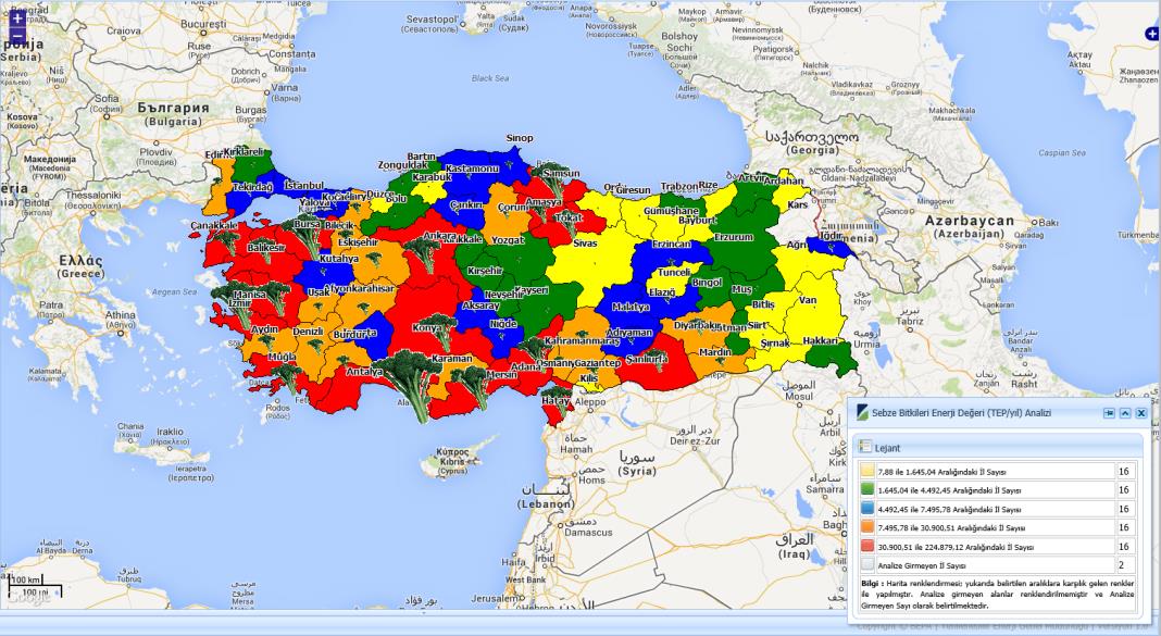 Resim 29: Biga Sığır (Kültür) Analizi Sonucu 2.