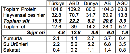 Günlük Kişi Başına