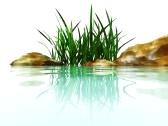 Entegre Toprak ve Su Kaynakları Yönetimi (Sulama Yönetimi) Çevresel, sosyal ve ekonomik