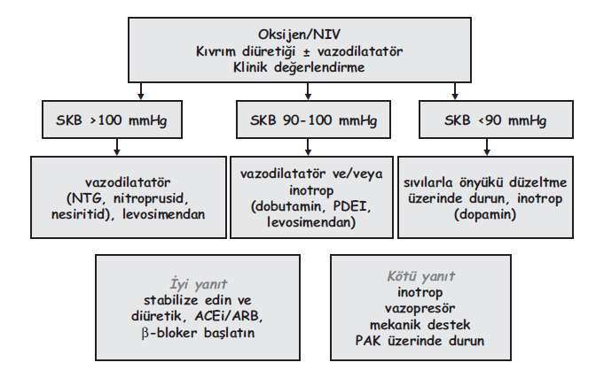 Akut Kalp Yetmezliğinde