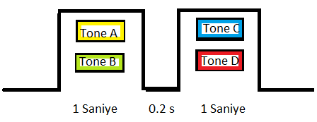 Uçakların gelen mesajın kendilerine ait olup olmadığını anlamaları için kendilerine ait 4 harften oluşan (A dan S e kadar I,N,O hariç) SelCal kodları bulunur.