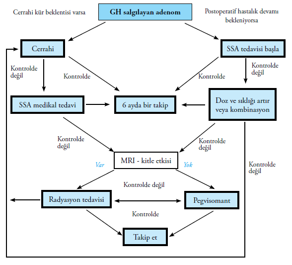 12 Cerrahi tedavi sonrasında, rezidüel GH hipersekresyonu olan hastalarda medikal tedavi ile birlikte radyoterapi adjuvan olarak uygulanmaktadır (52) 