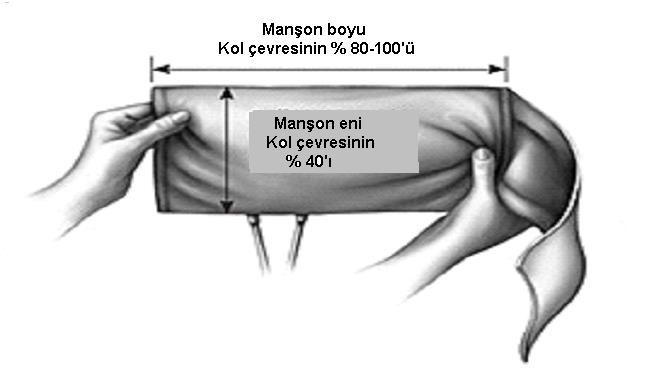 Çocuklarda kan basıncı nasıl ölçülmelidir? SİSTOLİK KAN BASINCI (Korotkoff 1) DİYASTOLİK KAN BASINCI (Korotkoff 5) Ölçüm üç kere tekrarlanmalıdır 4.