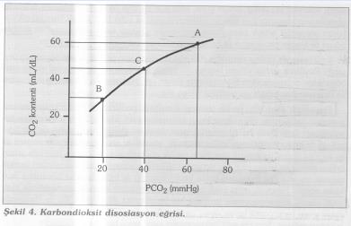 CO 2 kontenti ve PCO 2 arasında lineer bir ilişki var. CO2 kontentindeki azalmalar PaCO2 deki azalmalar ile hemen her basınç değerinde paraleldir. Sağ akc.