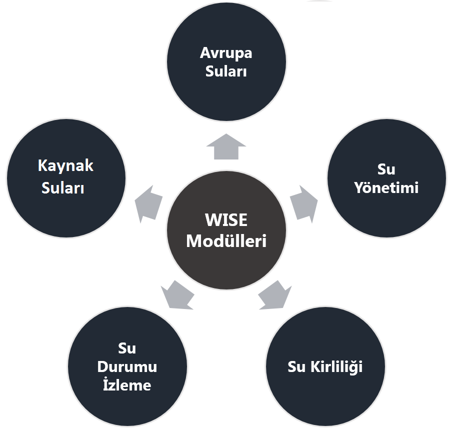 Veri ve temalar (raporlanan veri setleri, etkileşimli haritalar, istatistikler, indikatörler) Modelleme (Avrupa çapında anlık ve öngörü servisleri) Projeler ve araştırmalar (henüz tamamlanmış ya da