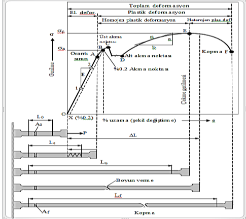 Testi Malzemelerde özellikle çekme esnasında meydana gelen şekil değişimlerin anlaşılması için çekme testlerinden faydalanılır, (a) Çekme testi numunesinde şekil değiştirmeler, (b) anizotropik