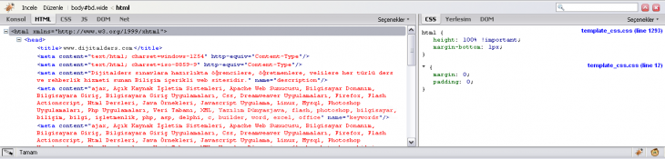 "JS" butonuna tıklarsanız, sayfa içerinse kullanılan javascript kodlarını görüntüleyebilir,hataları belirleyebilir ve değişiklik yapabilirsiniz.