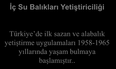 Akuakültür Deniz Balıkları Yetiştiriciliği Ege Denizi nde çipura ve levrek besiciliği uygulamaları doğadan yavru balık toplama uygulamasıyla 1985 yılından itibaren yoğunlaşmaya başlamıştır.