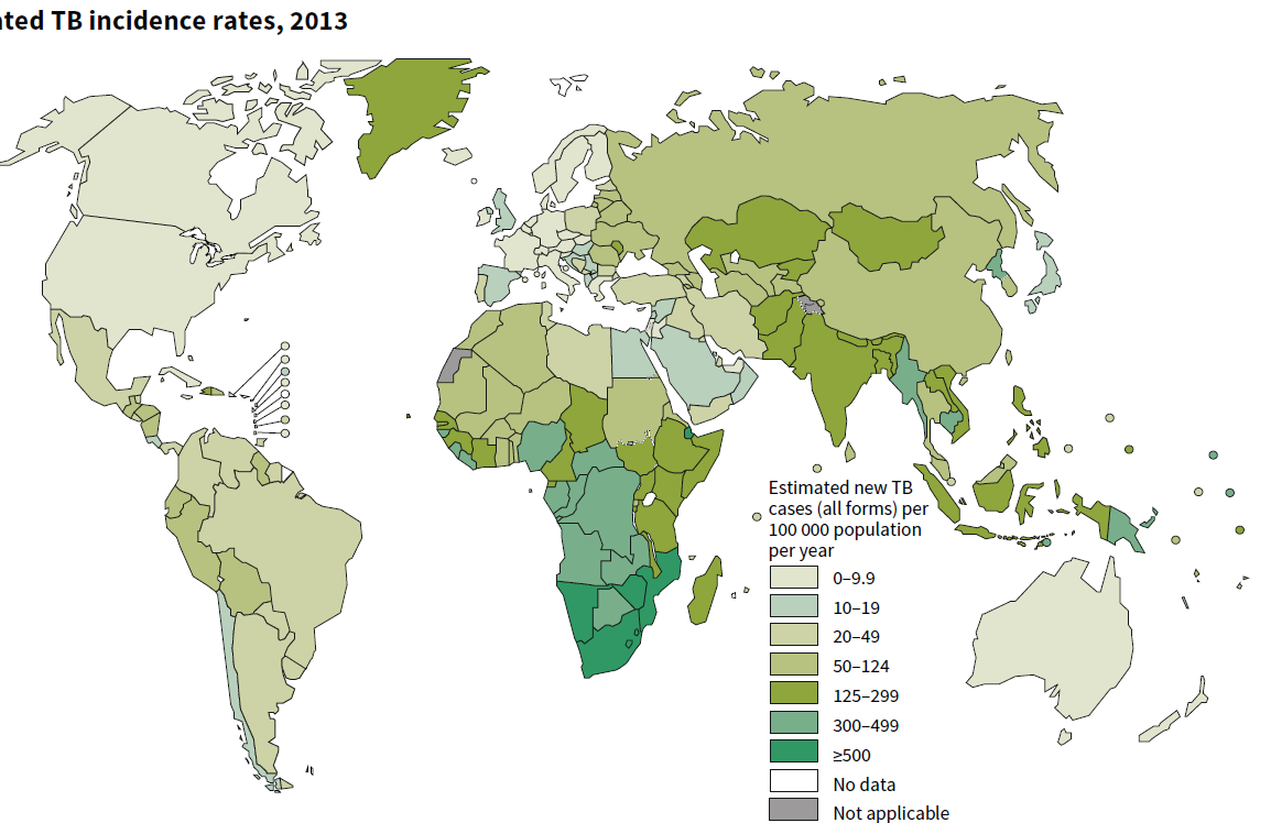 Tahmini TB insidans oranları,