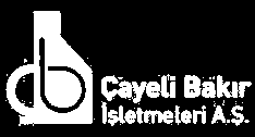 ÇAYELİ BAKIR