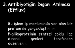 β-laktamazlar - Makrolid esteraz - Epoksidazlar Grup Transferaz Enzimatik çeşitliliği ve etkinliği en fazla olan enzim ailesi, grup transferazlardır. aktiftirler.