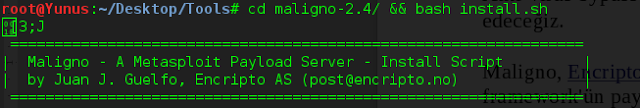 pyton meterpreter reverse tcp bağlantılarını sağlayacak olan shellcode ları üreterek AES ile şifreleyip ayrıca ürettiği python çıktısını obfuscate edip kullanıma hazır hale getirmektedir.