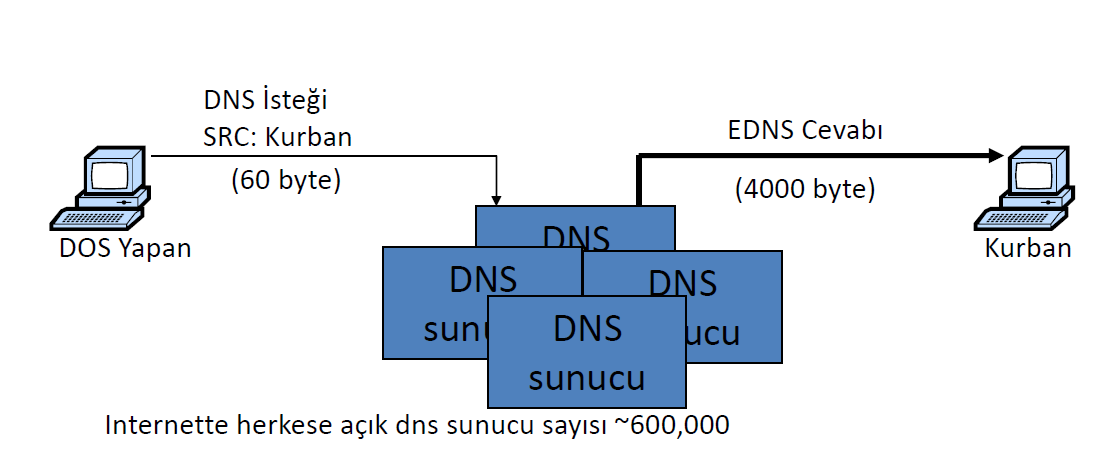 Uygulama Katmanında DoS DNS Amplification Saldırısı ile hedef olarak