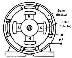 Rotoru Kutup Sargılı