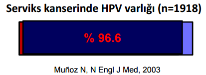 HPV DNA