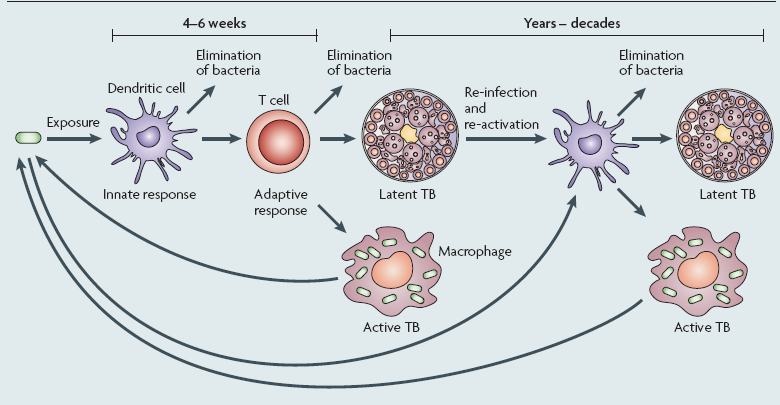 infectionnature Reviews Microbiology AOP,