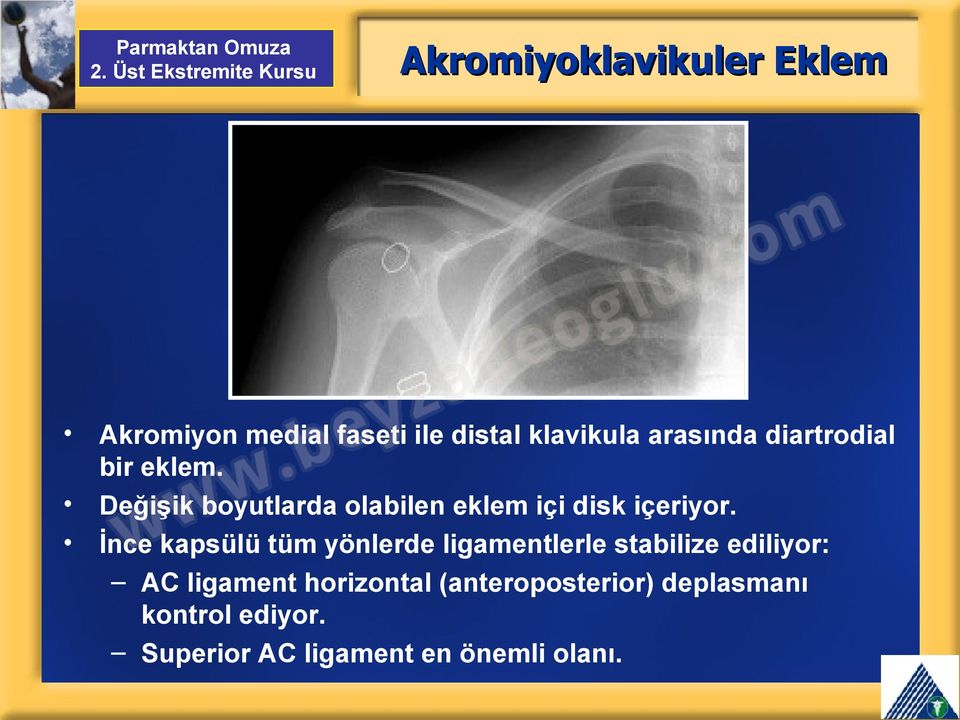 İnce kapsülü tüm yönlerde ligamentlerle stabilize ediliyor: AC ligament