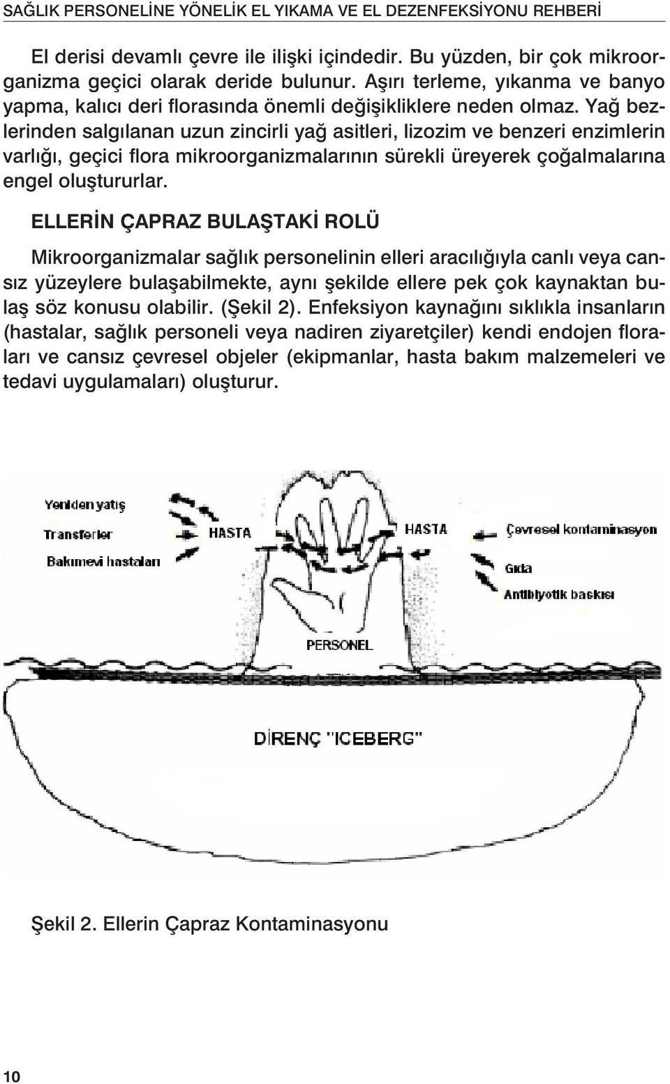 Yağ bezlerinden salgılanan uzun zincirli yağ asitleri, lizozim ve benzeri enzimlerin varlığı, geçici flora mikroorganizmalarının sürekli üreyerek çoğalmalarına engel oluştururlar.