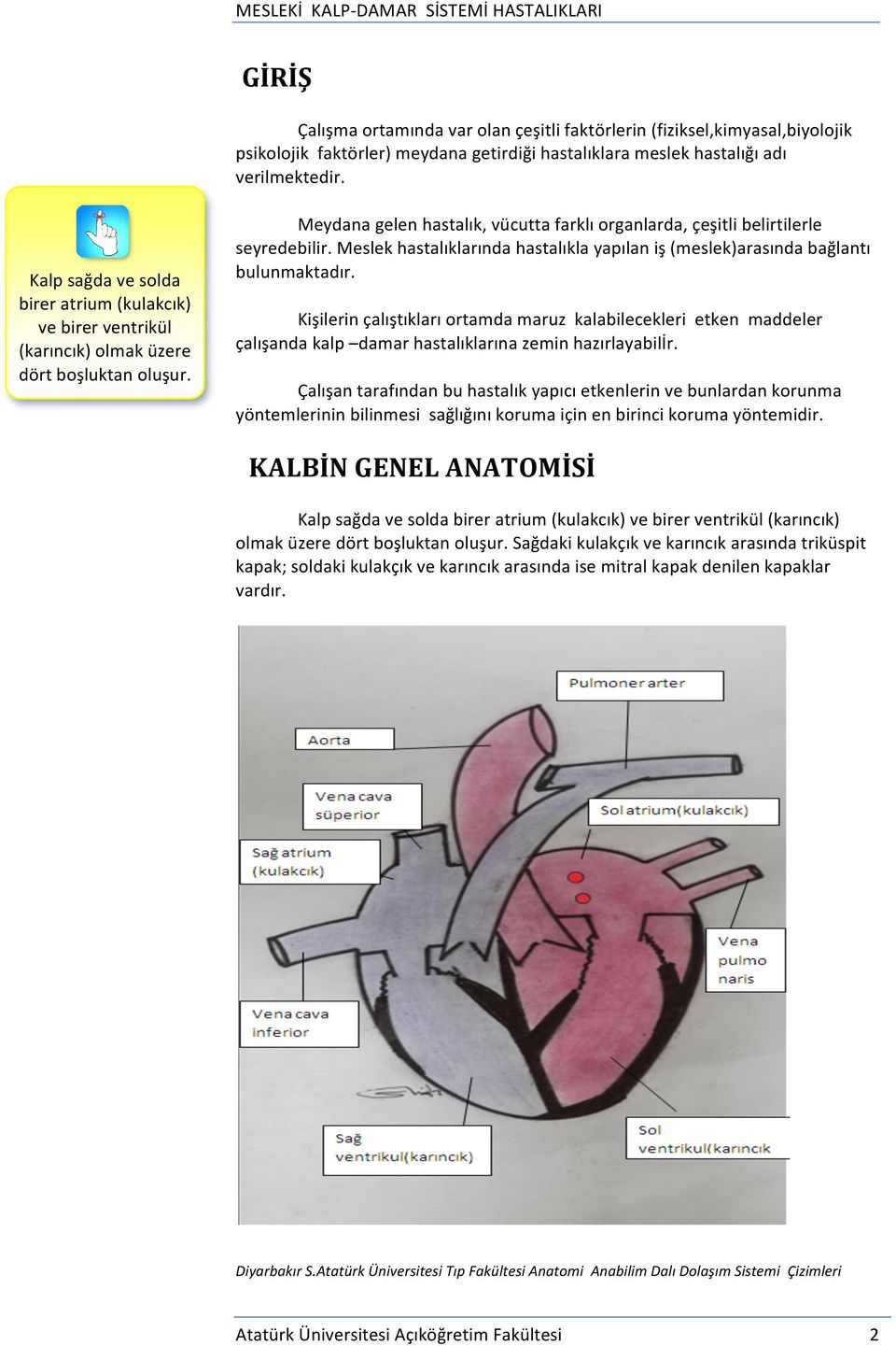 Meslek hastalıklarında hastalıkla yapılan iş (meslek)arasında bağlantı bulunmaktadır.