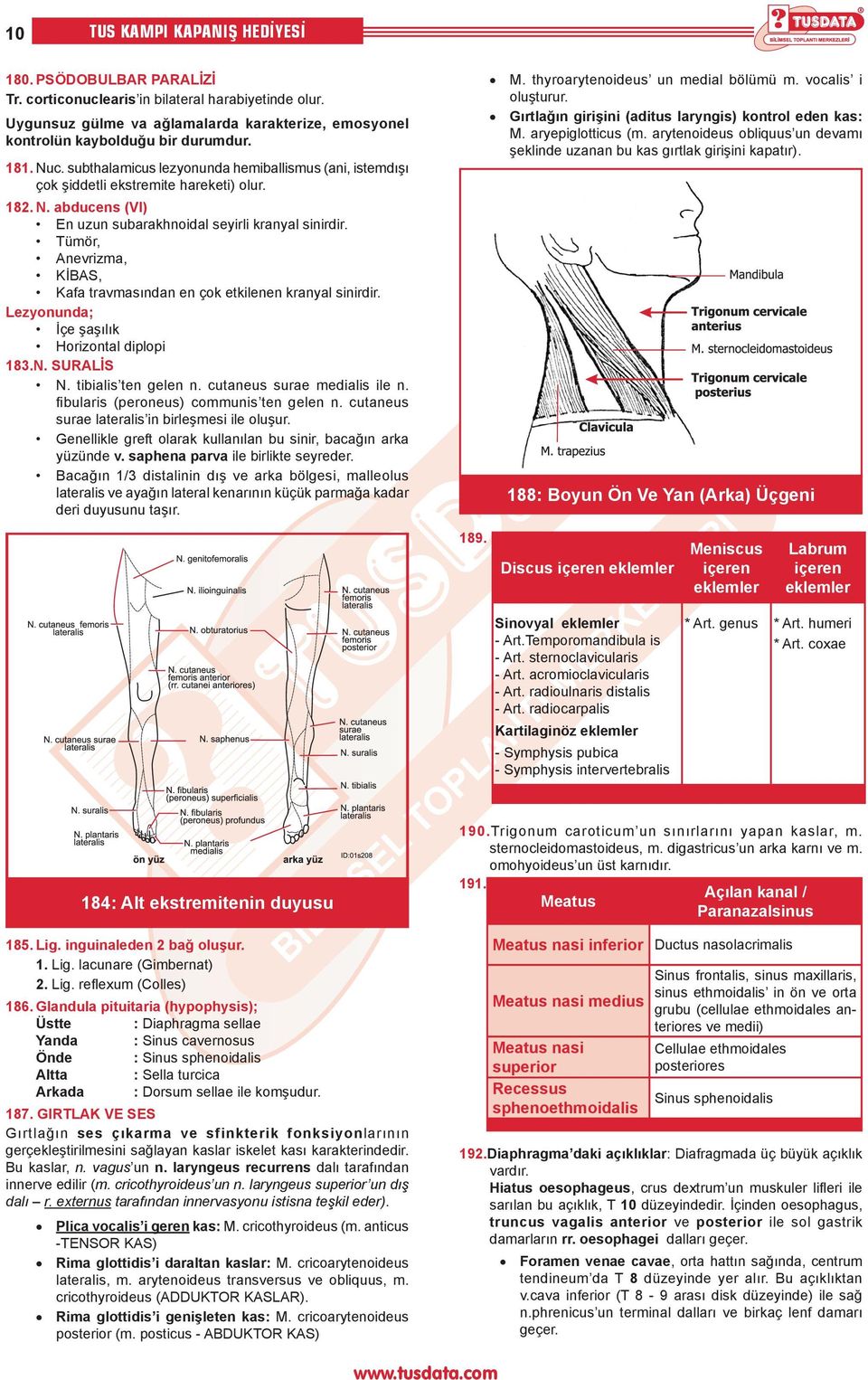 Tümör, Anevrizma, KİBAS, Kafa travmasından en çok etkilenen kranyal sinirdir. Lezyonunda; İçe şaşılık Horizontal diplopi 183.N. SURALİS N. tibialis ten gelen n. cutaneus surae medialis ile n.