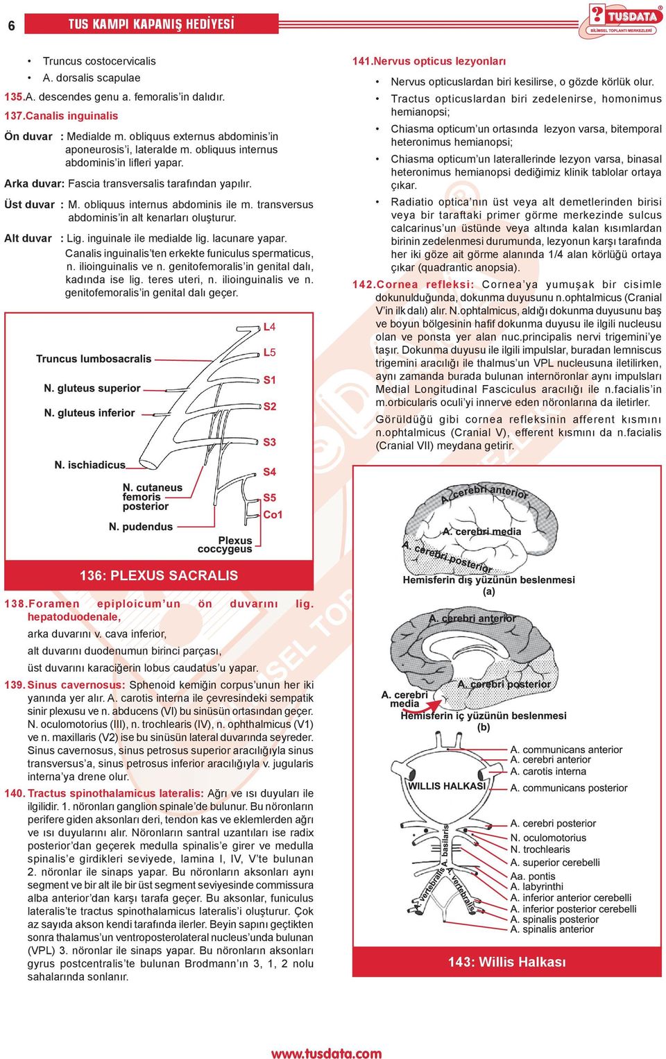 obliquus internus abdominis ile m. transversus abdominis in alt kenarları oluşturur. Alt duvar : Lig. inguinale ile medialde lig. lacunare yapar.