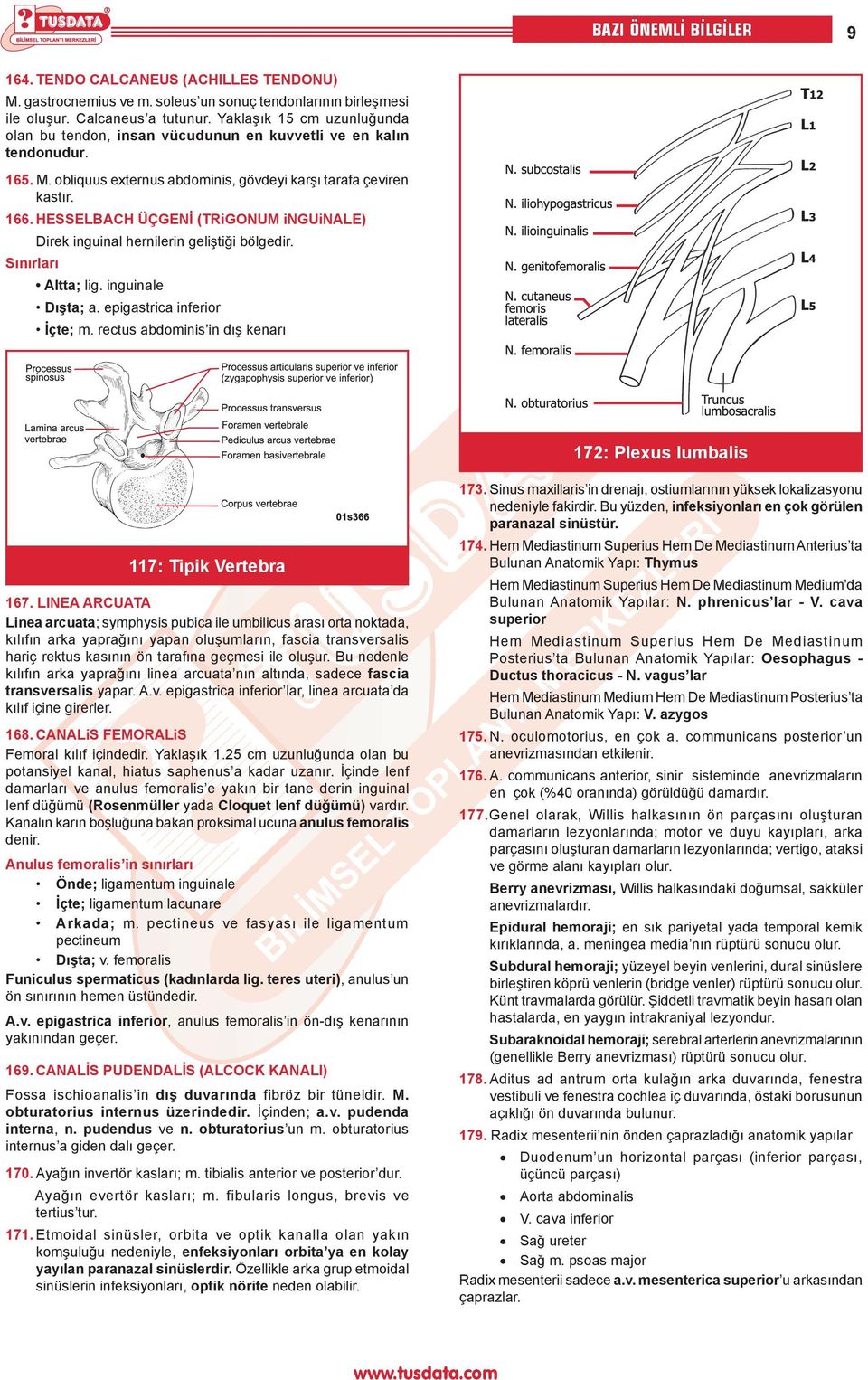 HESSELBACH ÜÇGENİ (TRiGONUM inguinale) Sınırları Direk inguinal hernilerin geliştiği bölgedir. Altta; lig. inguinale Dışta; a. epigastrica inferior İçte; m.