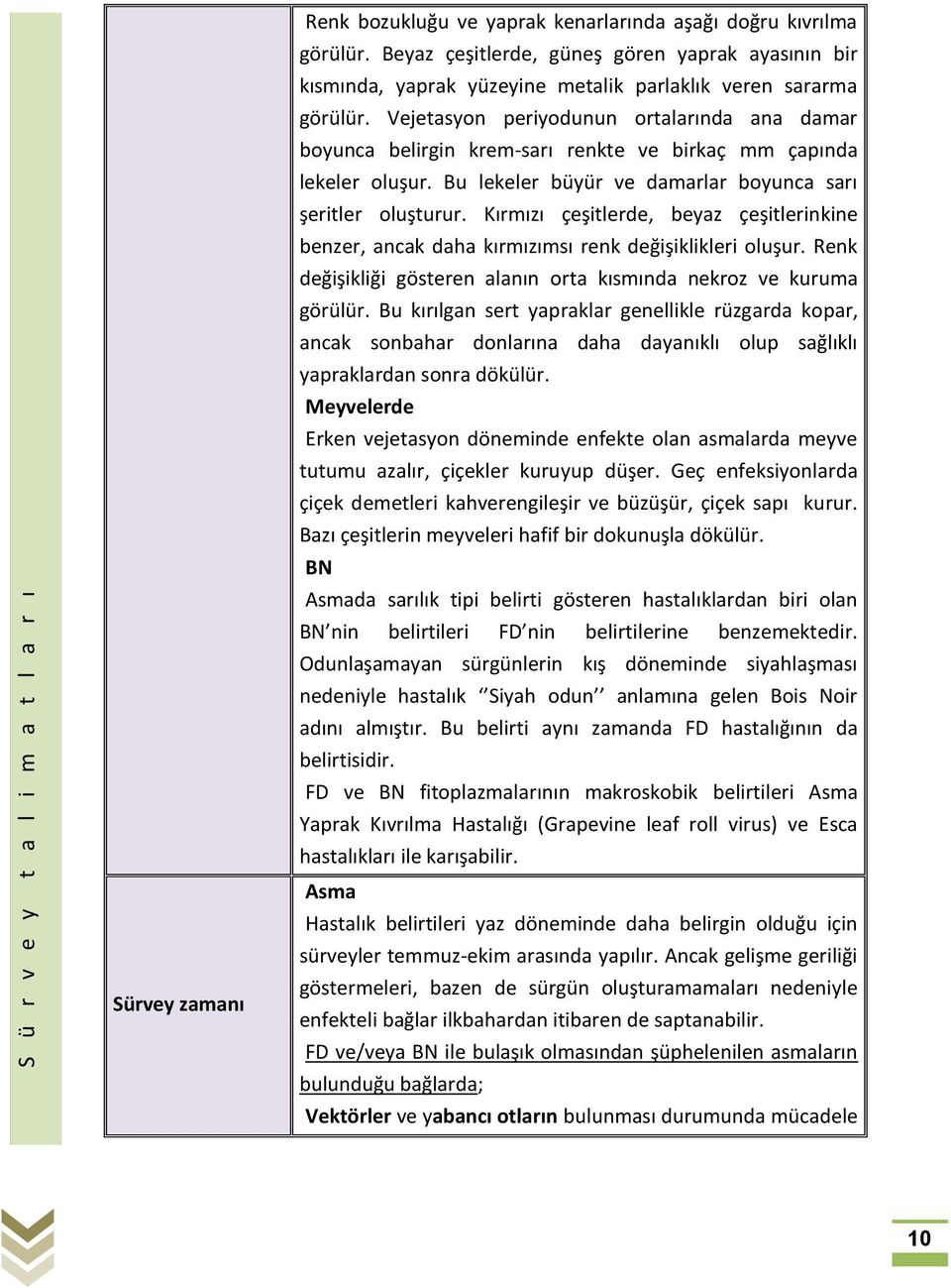 Kırmızı çeşitlerde, beyaz çeşitlerinkine benzer, ancak daha kırmızımsı renk değişiklikleri oluşur. Renk değişikliği gösteren alanın orta kısmında nekroz ve kuruma görülür.