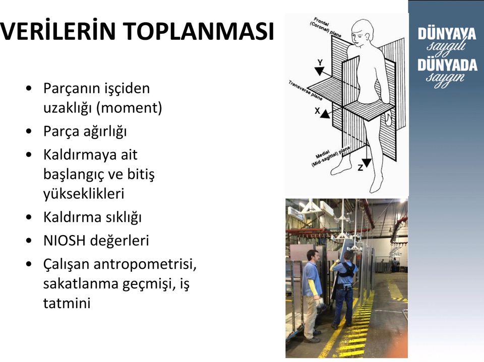 bitiş yükseklikleri Kaldırma sıklığı NIOSH