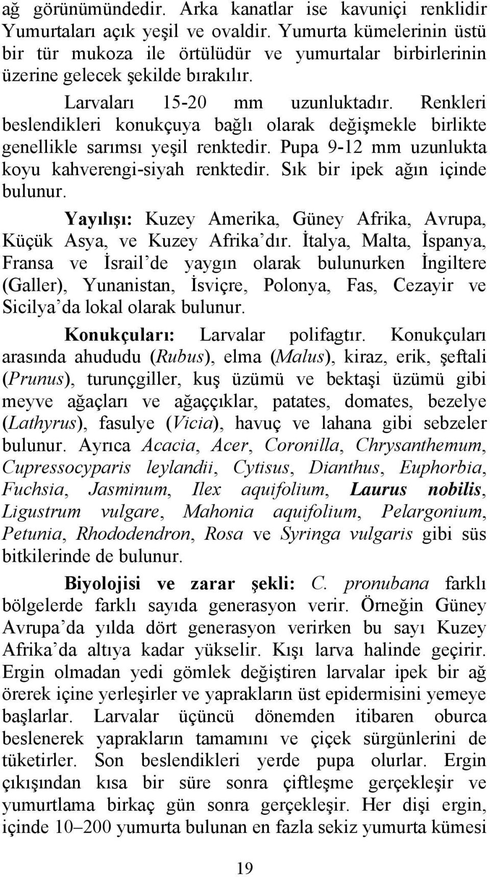 Renkleri beslendikleri konukçuya bağlı olarak değişmekle birlikte genellikle sarımsı yeşil renktedir. Pupa 9-12 mm uzunlukta koyu kahverengi-siyah renktedir. Sık bir ipek ağın içinde bulunur.