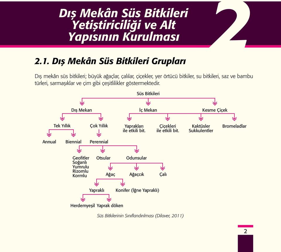 ve çim gibi çeşitlilikler göstermektedir. Süs Bitkileri Dış Mekan İç Mekan Kesme Çiçek Tek Yıllık Çok Yıllık Yaprakları ile etkili bit. Çiçekleri ile etkili bit.