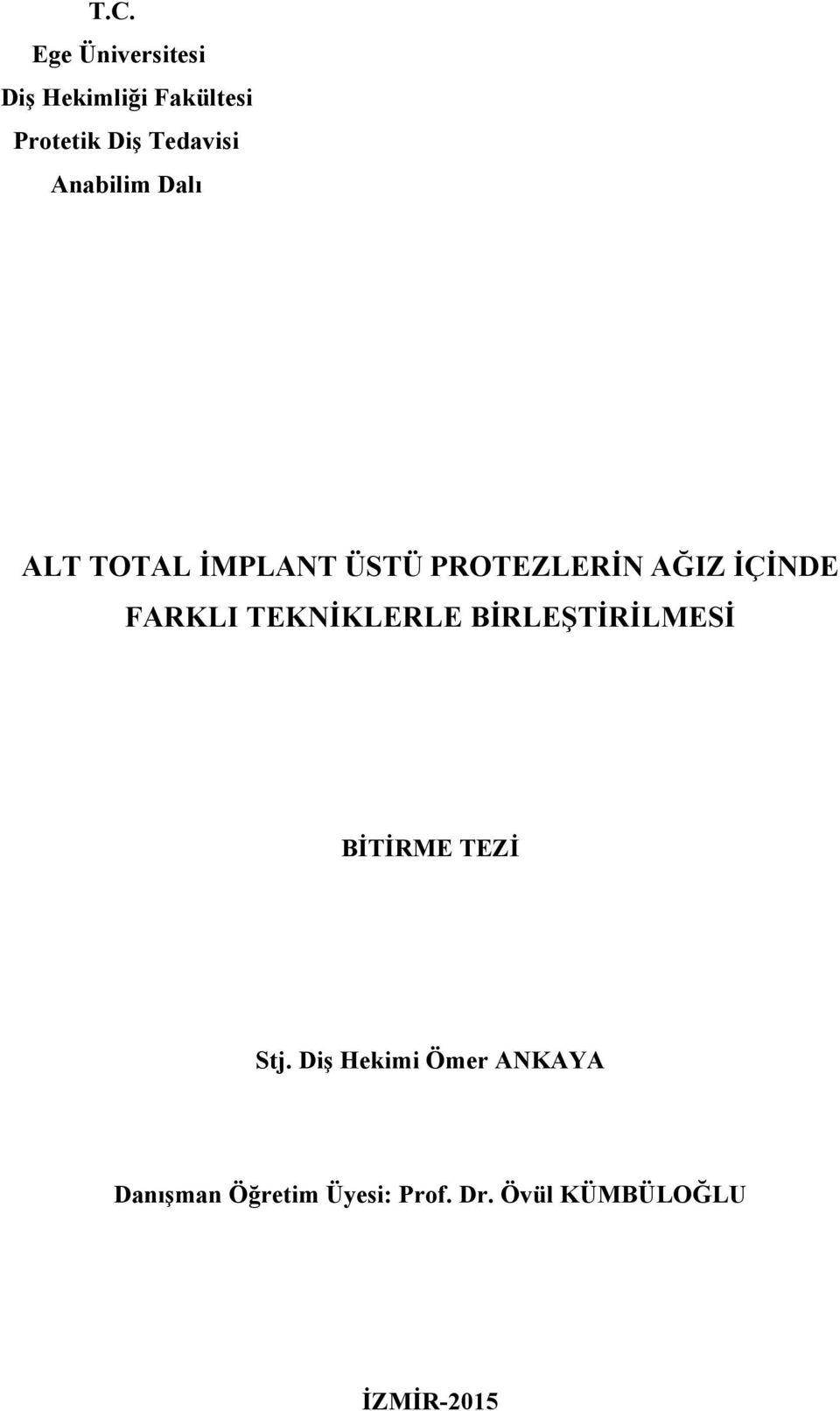 İÇİNDE FARKLI TEKNİKLERLE BİRLEŞTİRİLMESİ BİTİRME TEZİ Stj.