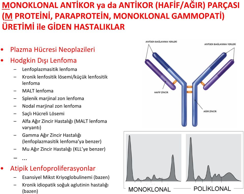 lenfoma Saçlı Hücreli Lösemi Alfa Ağır Zincir Hastalığı (MALT lenfoma varyantı) Gamma Ağır Zincir Hastalığı (lenfoplazmasitik lenfoma ya benzer) Mu Ağır Zincir