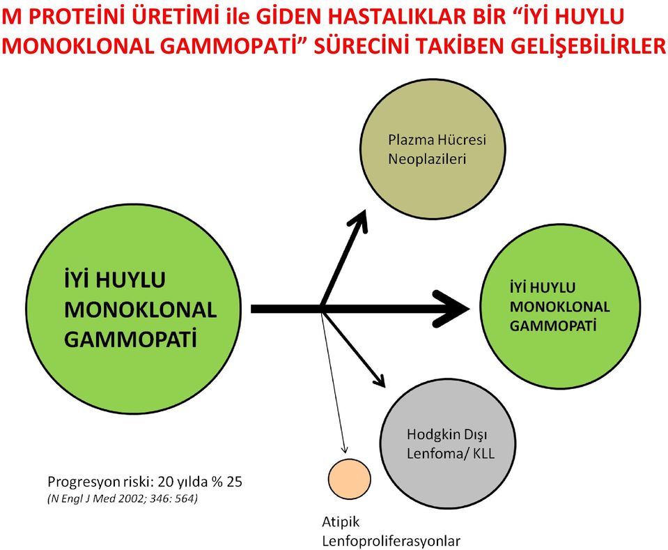 HUYLU MONOKLONAL GAMMOPATİ