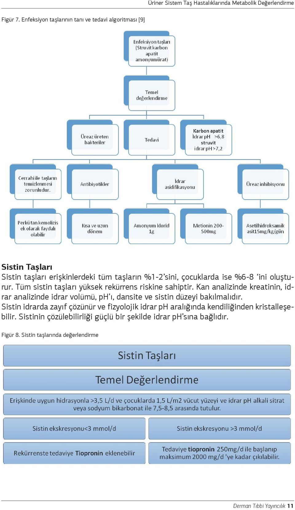 %6-8 ini oluşturur. Tüm sistin taşları yüksek rekürrens riskine sahiptir.