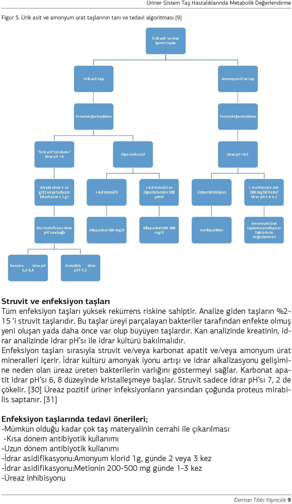 riskine sahiptir. Analize giden taşların %2-15 i struvit taşlarıdır. Bu taşlar üreyi parçalayan bakteriler tarafından enfekte olmuş yeni oluşan yada daha önce var olup büyüyen taşlardır.