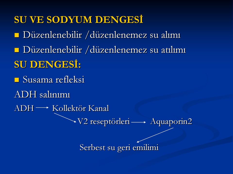 DENGESİ: Susama refleksi ADH salınımı ADH Kollektör