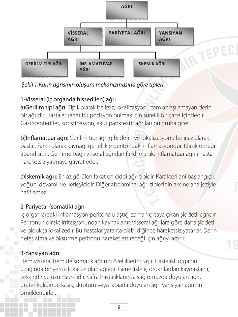 Gastroenteritler, konstipasyon, akut pankreatit ağrıları bu gruba girer. b)inflamatuar ağrı: Gerilim tipi ağrı gibi derin ve lokalizasyonu belirsiz olarak başlar.