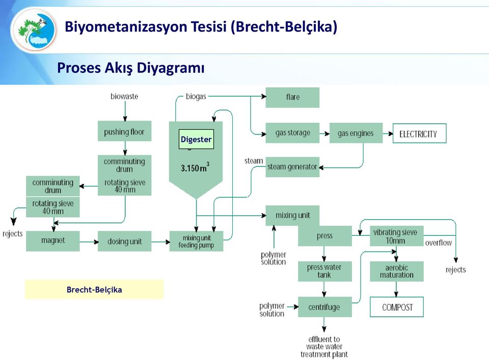 (Brecht-Belçika)