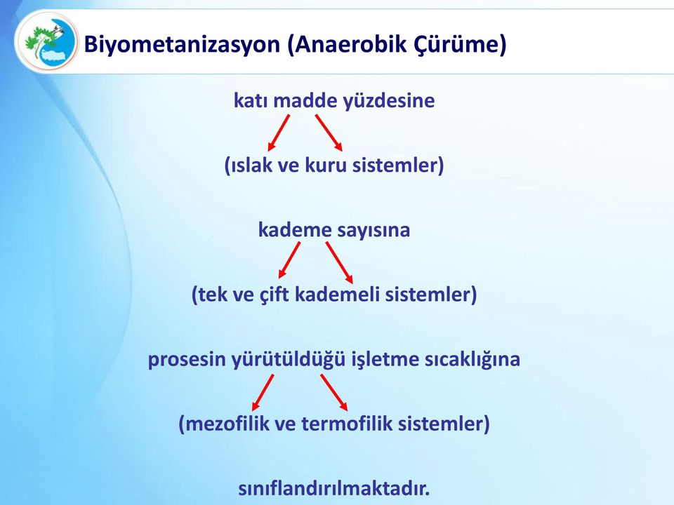 kademeli sistemler) prosesin yürütüldüğü işletme