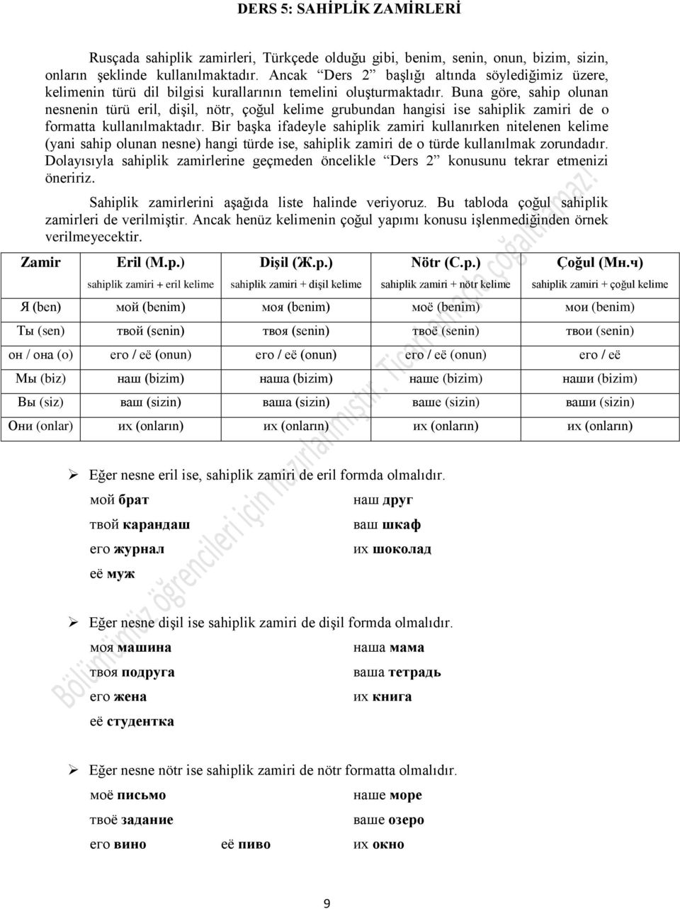 Buna göre, sahip olunan nesnenin türü eril, dişil, nötr, çoğul kelime grubundan hangisi ise sahiplik zamiri de o formatta kullanılmaktadır.