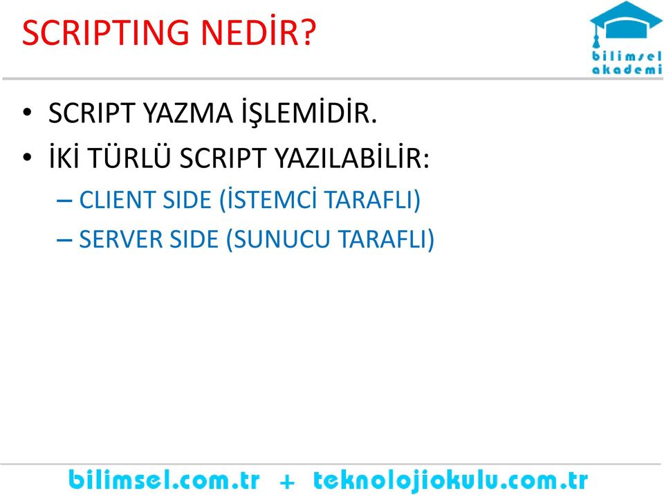 İKİ TÜRLÜ SCRIPT YAZILABİLİR: