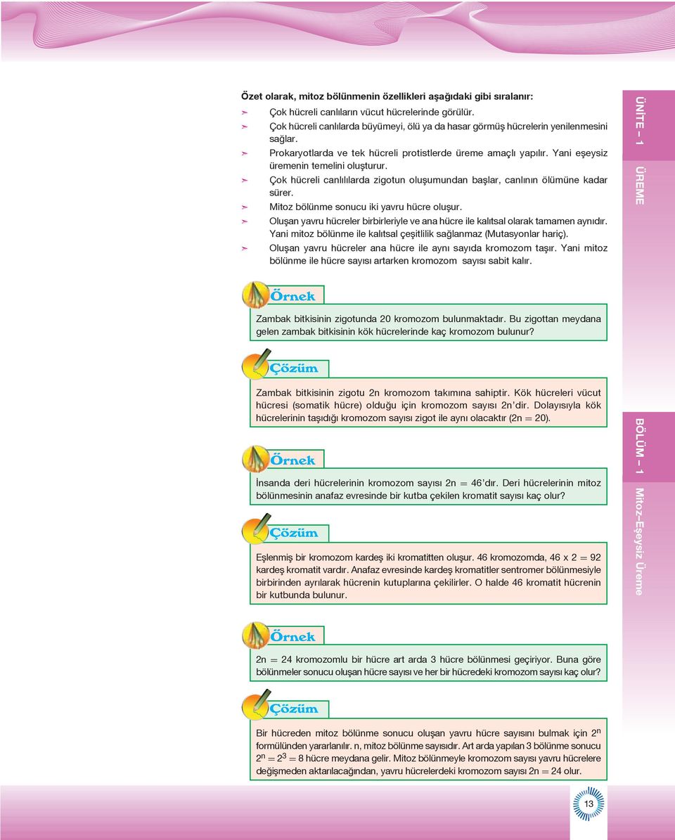 Bir çok hücrede hücre döngüsü evreleri arasındaki düzeni sağlayan G 1, G 2 ve M adı verilen üç kontrol noktası vardır. Bu noktalardaki dur ve devam et sinyalleri hücre döngüsünü düzenler.