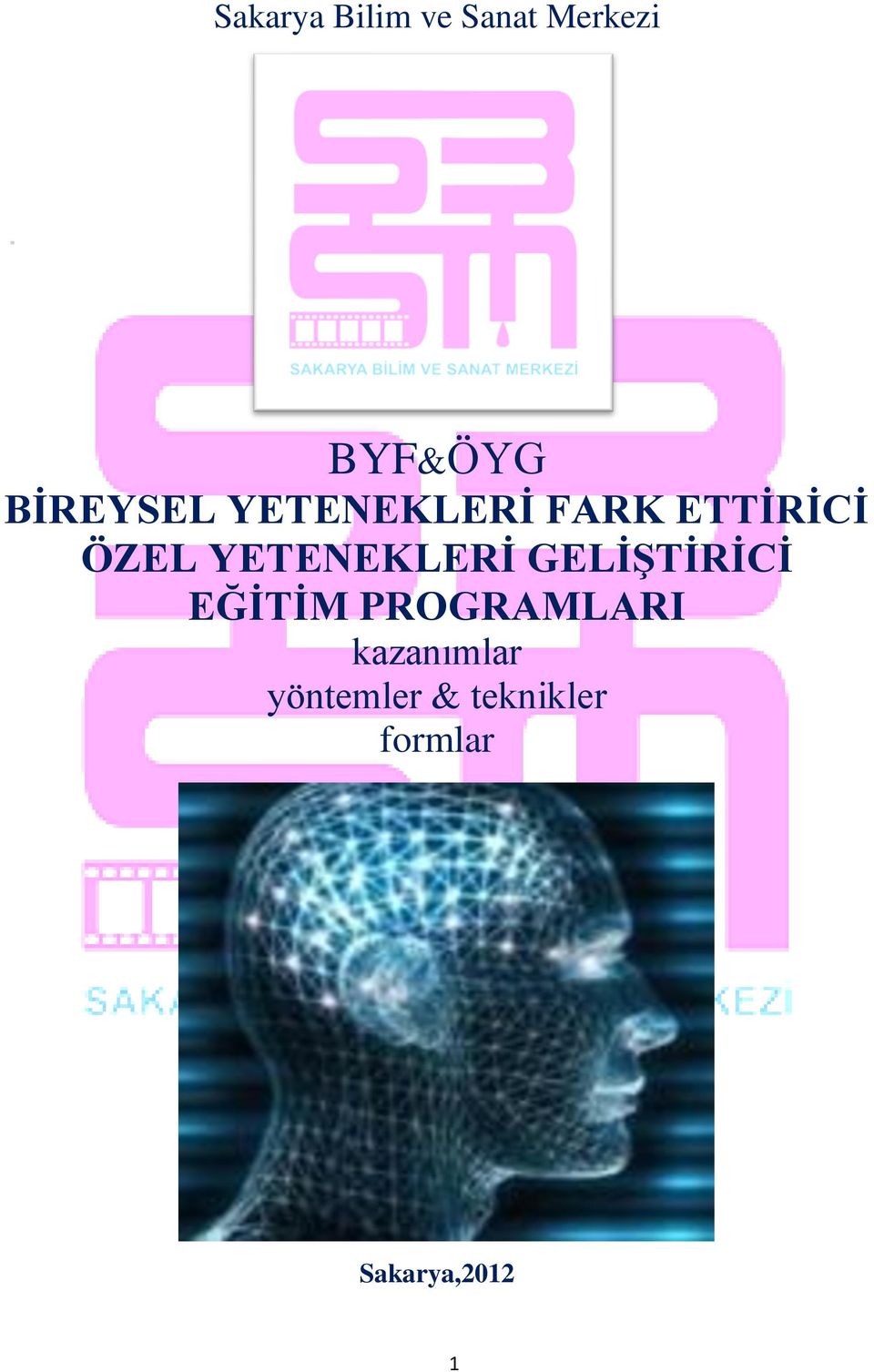 YETENEKLERİ GELİŞTİRİCİ EĞİTİM PROGRAMLARI