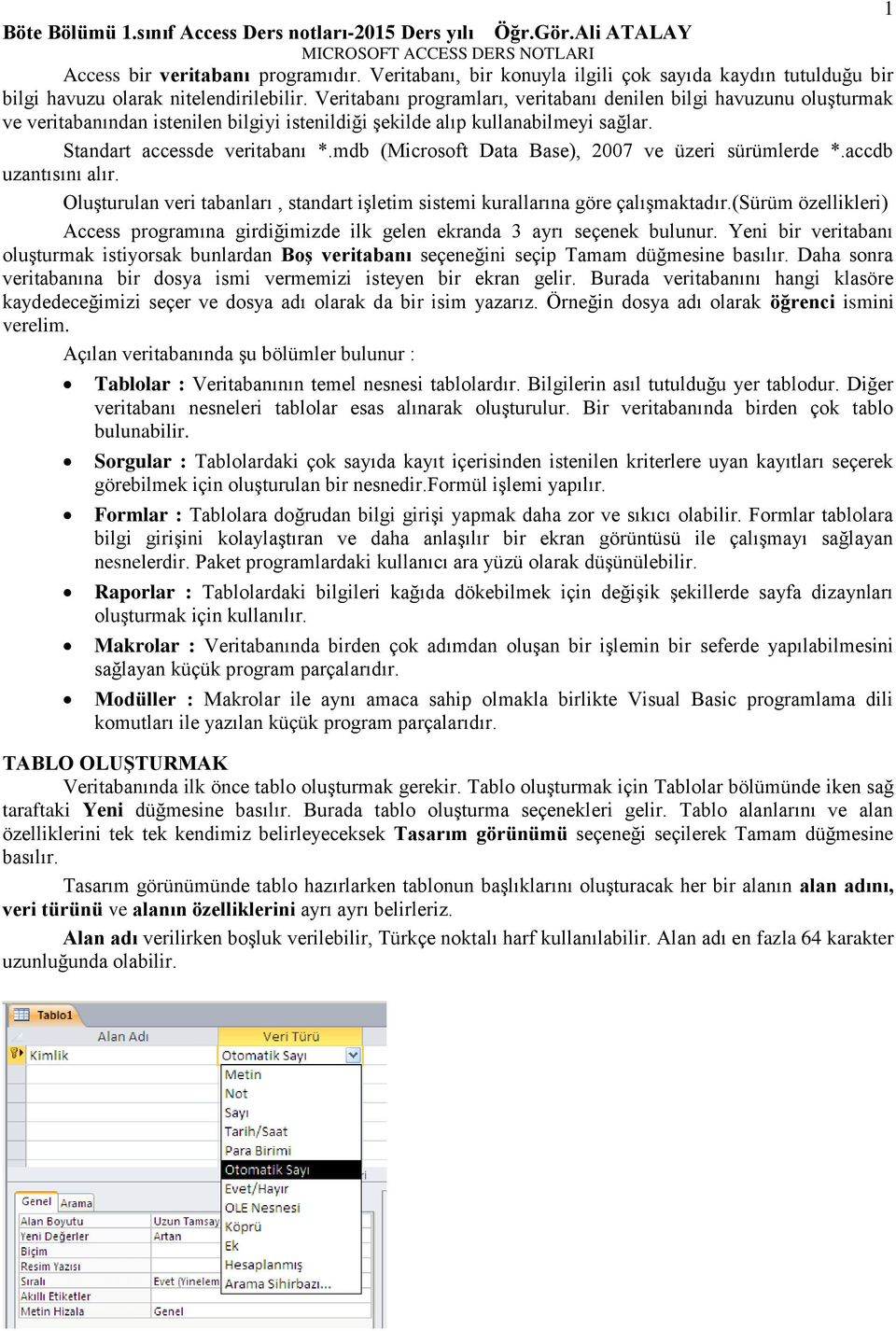 Veritabanı programları, veritabanı denilen bilgi havuzunu oluşturmak ve veritabanından istenilen bilgiyi istenildiği şekilde alıp kullanabilmeyi sağlar. Standart accessde veritabanı *.