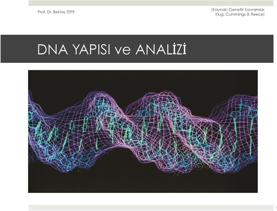 ANALİZİ 1