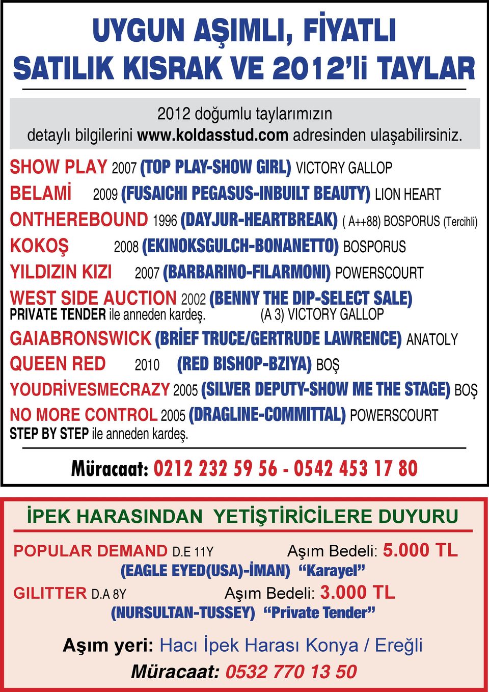 (EKINOKSGULCH-BONANETTO) BOSPORUS YILDIZIN KIZI 2007 (BARBARINO-FILARMONI) POWERSCOURT WEST SIDE AUCTION 2002 (BENNY THE DIP-SELECT SALE) PRIVATE TENDER ile anneden kardeş.